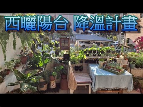 陽台西曬|西曬陽台佈置攻略：打造耐曬又降溫的陽台空間 